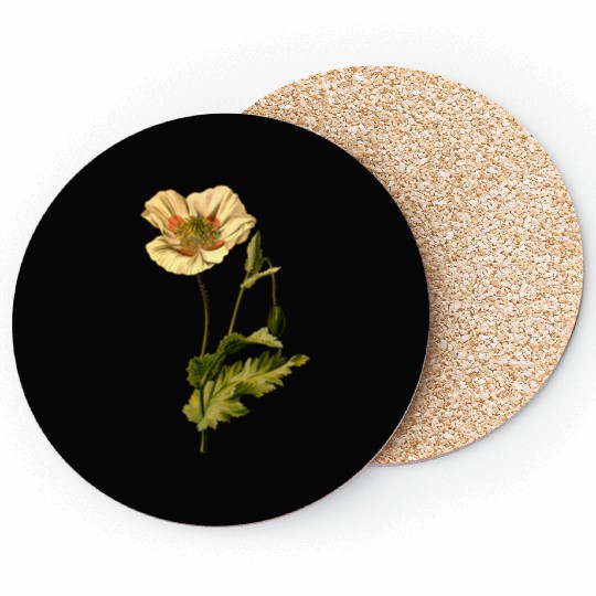 Opium poppy (detailed) Coasters