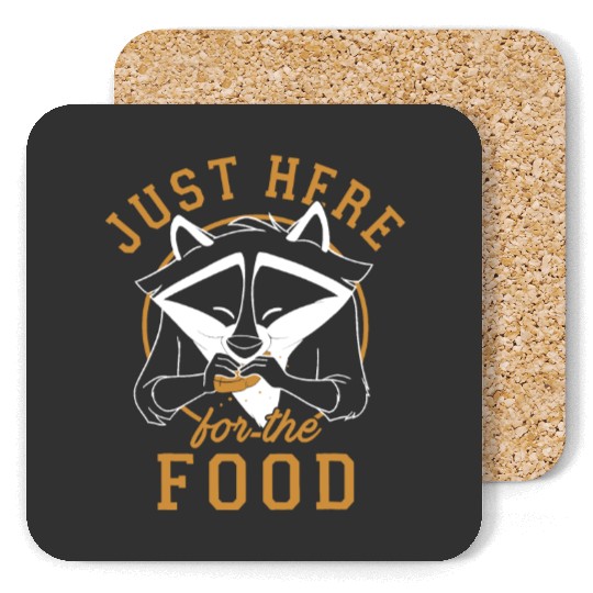 Retro Disney Pocahontas Meeko Coasters