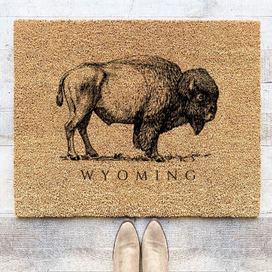 Wyoming With A Buffalo Coir Doormats