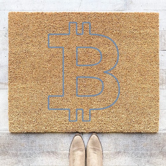 Bitcoin Silhouette Pocket Currency Store Coir Doormats