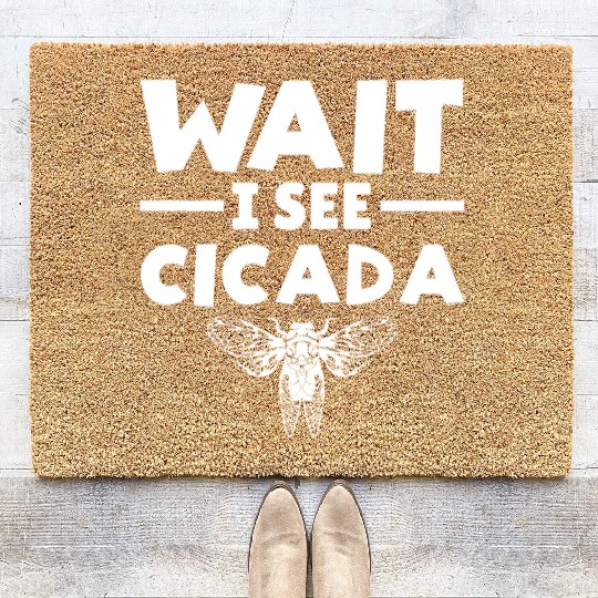 Wait I See Cicada, Funny Colorful Cicada Spring Coir Doormats