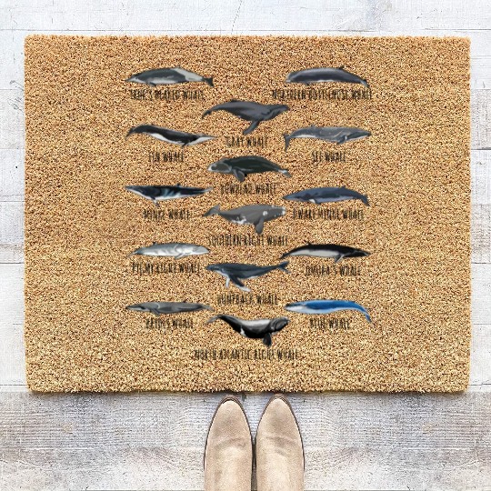 Different Whale Species Biology Types Of Whales Coir Doormats