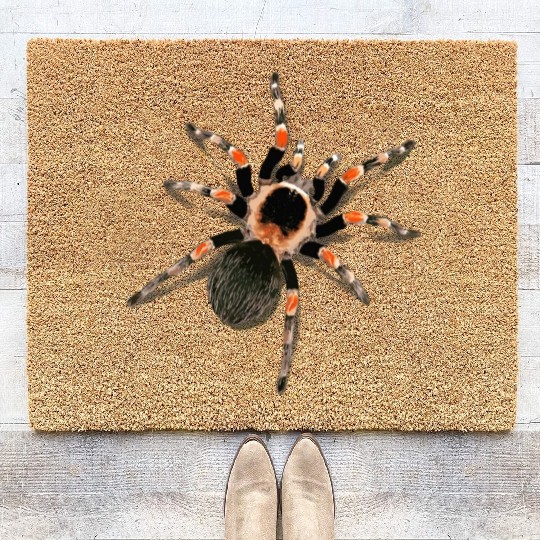 Realistic Red Knee Tarantula Coir Doormats
