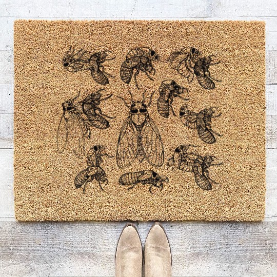 Cicadas Life Cycle Vintage Science Cicada Bug Coir Doormats