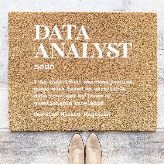 Data Analyst Definition Coir Doormats