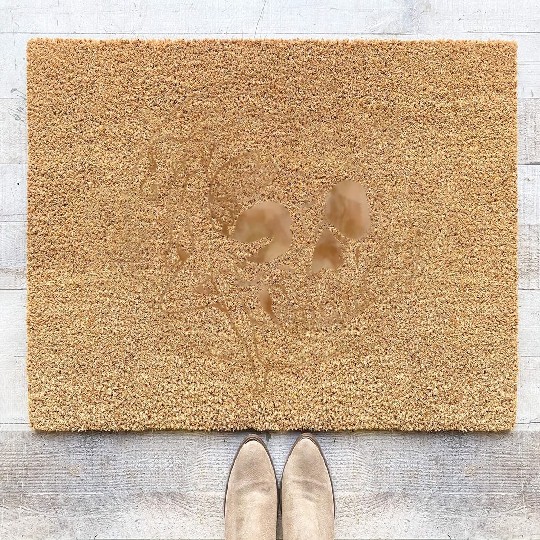 Fairy Coir Doormats, Fairycore Skull Skeleton And Moon