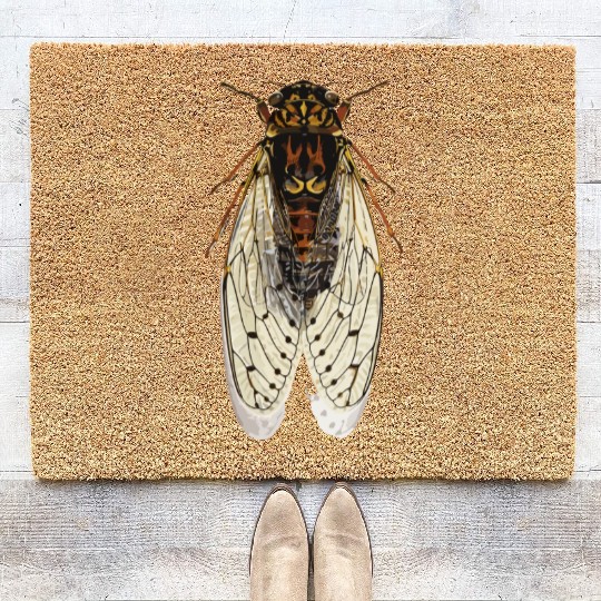 cicada Coir Doormats