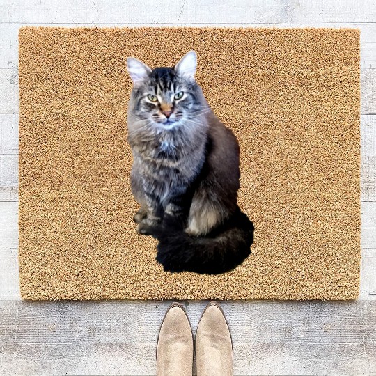 Indie the Cute Cat Coir Doormats