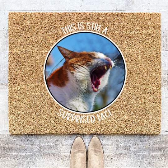 This is Still A Surprised Face Funny Cute Cat Meme Coir Doormats