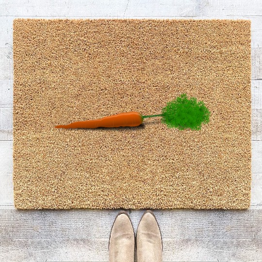 Carrot Coir Doormats