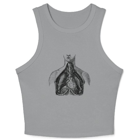 Torso medical illustration Crop Tank Top