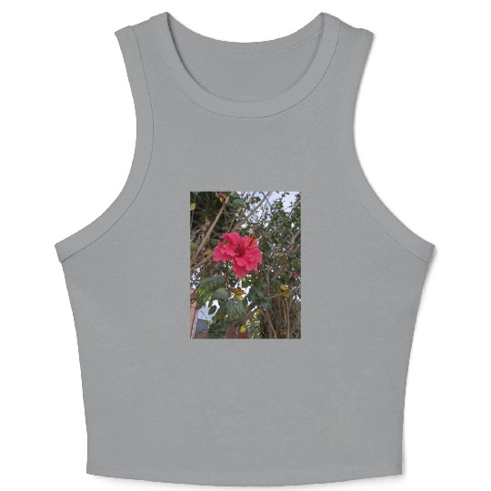 Hibiscus Crop Tank Top