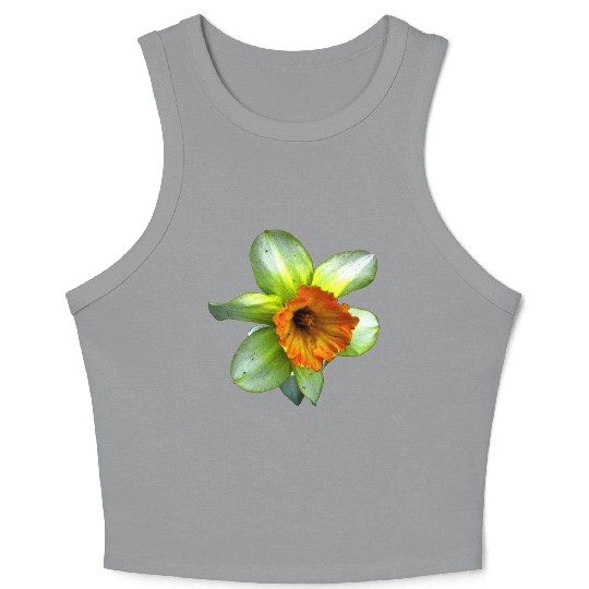 Blooming spring daffodil Crop Tank Top