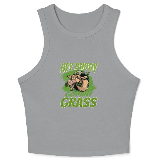 Hey Buddy, Got Any Grass 2 Crop Tank Top