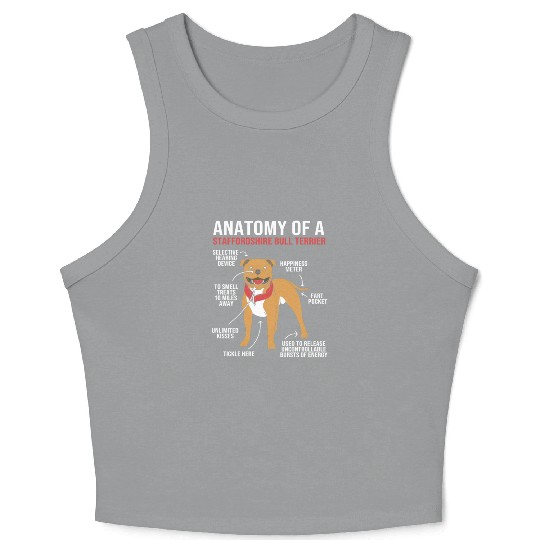 Dog Anatomy Of A Staffordshire Bull Terrier Crop Tank Top