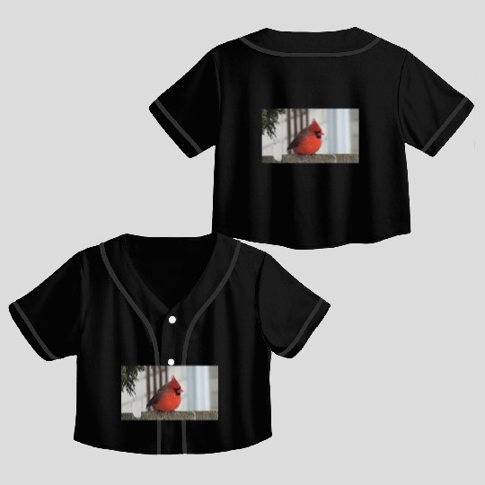 Brilliant Cardinal Bird 2 Crop Top Baseball Jerseys