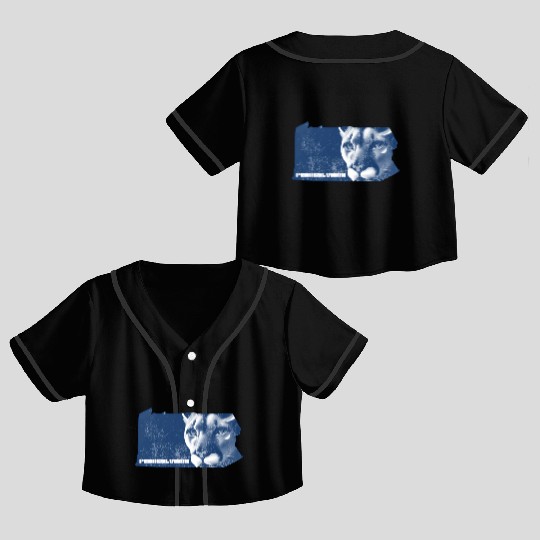 Pennsylvania Crop Top Baseball Jerseys