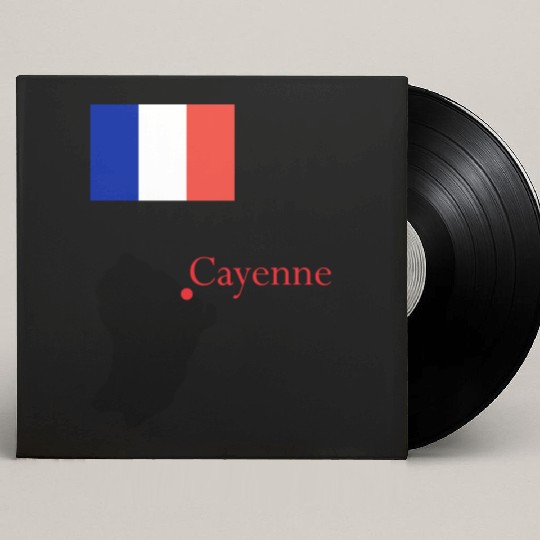 018 countries flags France FrenchGuiana ve Custom Vinyl Record Sleeves