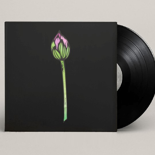 Lotus Custom Vinyl Record Sleeves