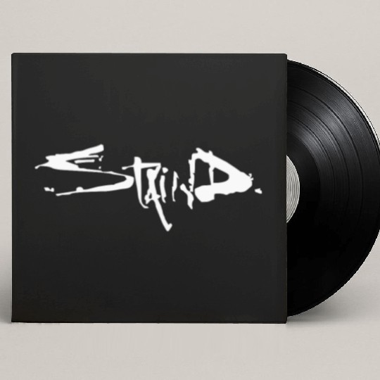 STAIND new black Custom Vinyl Record Sleeves