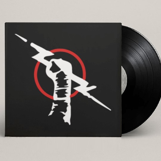 Cm Punk Lighting Rod Custom Vinyl Record Sleeves