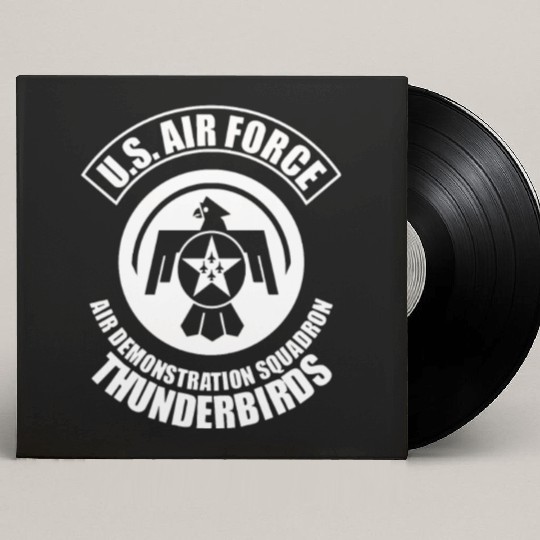 us air force thunderbirds Custom Vinyl Record Sleeves