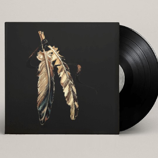 Southwest Native American Indian Tribal Art Custom Vinyl Record Sleeves