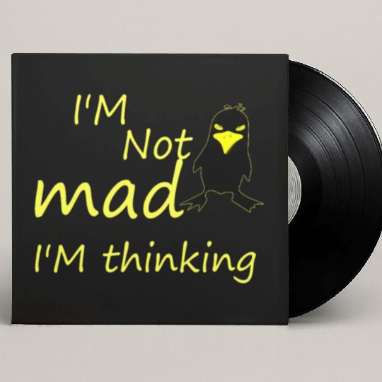 I'm Not Mad I'm Thinking Cute Angry Bird Custom Vinyl Record Sleeves