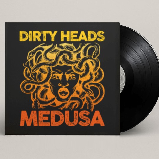 Dirty Heads Medusa Music Band Musician Fan Gift Custom Vinyl Record Sleeves