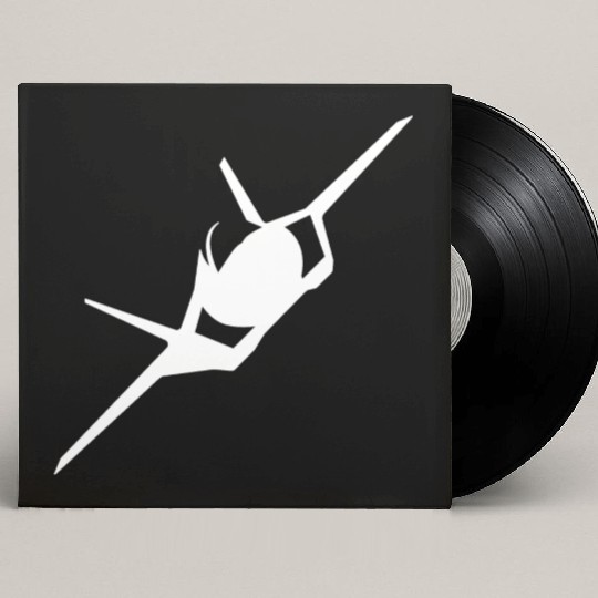 F-35 Lightning II Military Fighter Jet Aircraft Custom Vinyl Record Sleeves