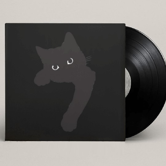 Cute Black Cat Custom Vinyl Record Sleeves