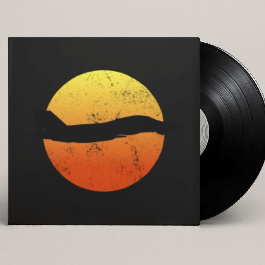 F-14 Tomcat Silhouette Retro Sunset Military F14 Custom Vinyl Record Sleeves