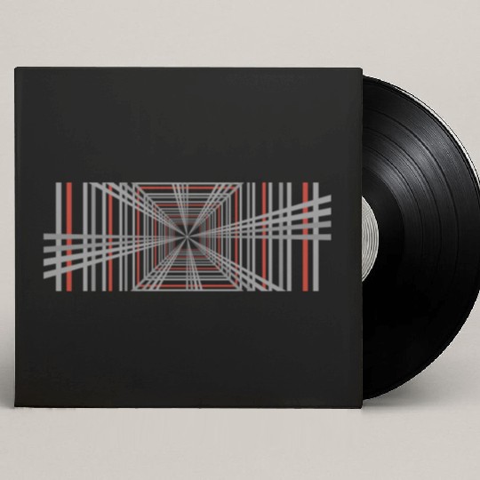 Tesla Plaid Mode Custom Vinyl Record Sleeves