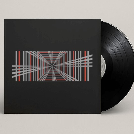 Tesla Plaid Mode Custom Vinyl Record Sleeves