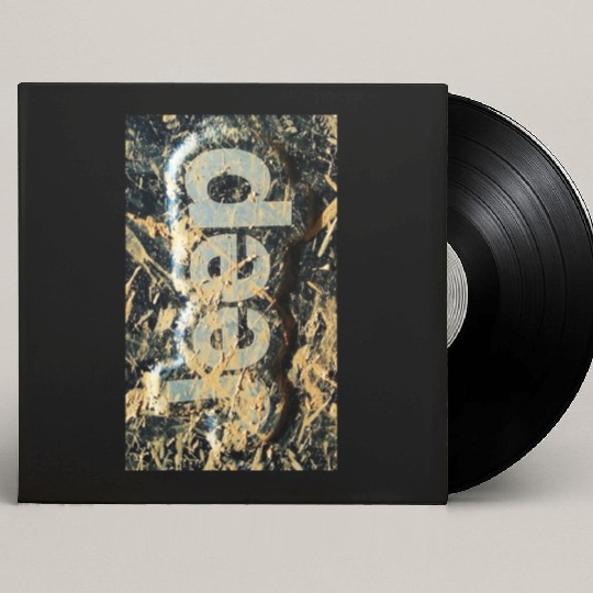 Jeep Adventure Custom Vinyl Record Sleeves