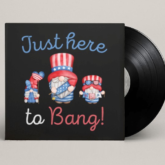Funny US Gnomes 4th of July Humor Custom Vinyl Record Sleeves