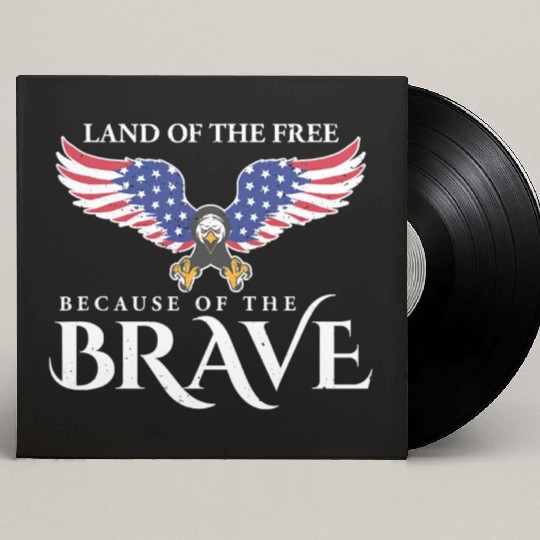 Land Of The Free Because Of The Brave Patriot USA Custom Vinyl Record Sleeves