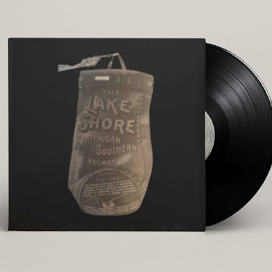 Lakeshore and Michigan shore train Custom Vinyl Record Sleeves