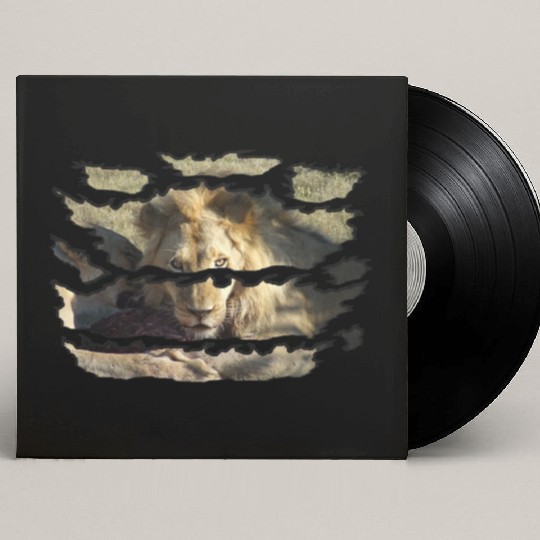 Ripped Wildlife Lion Stare Custom Vinyl Record Sleeves