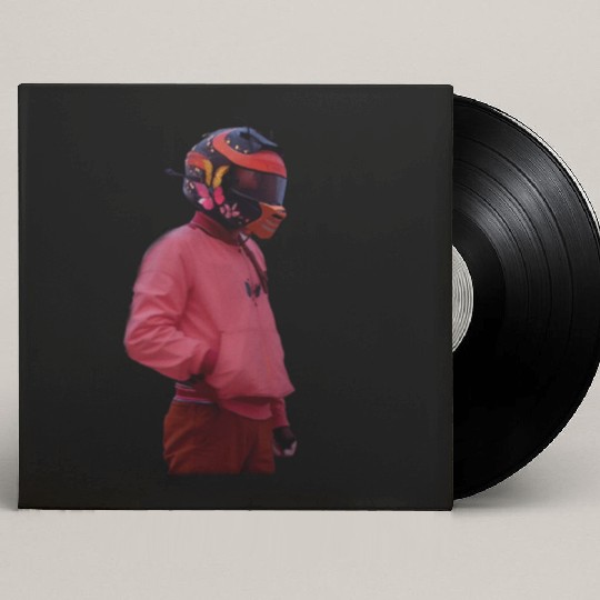 Frank Ocean butterfly Custom Vinyl Record Sleeves