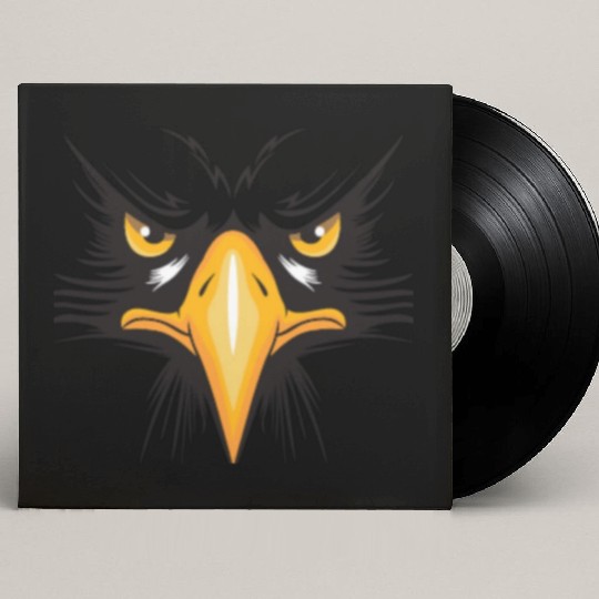 Angry bird Custom Vinyl Record Sleeves