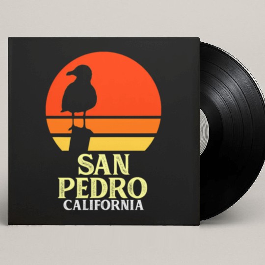 San Pedro California Beach Seagull Custom Vinyl Record Sleeves