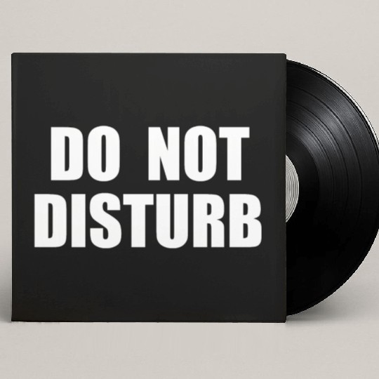 Do Not Disturb - Airplane Airport Train Subway Custom Vinyl Record Sleeves