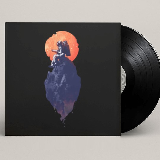 The lights in the sky Custom Vinyl Record Sleeves