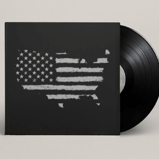 HAND PAINTED US FLAG Custom Vinyl Record Sleeves