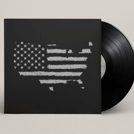HAND PAINTED US FLAG Custom Vinyl Record Sleeves
