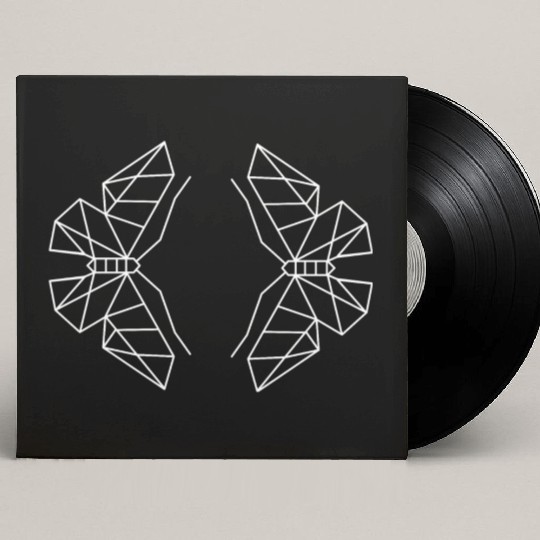 Butterfly Geometric Wings Custom Vinyl Record Sleeves