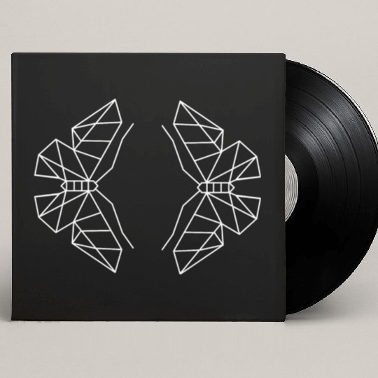 Butterfly Geometric Wings Custom Vinyl Record Sleeves