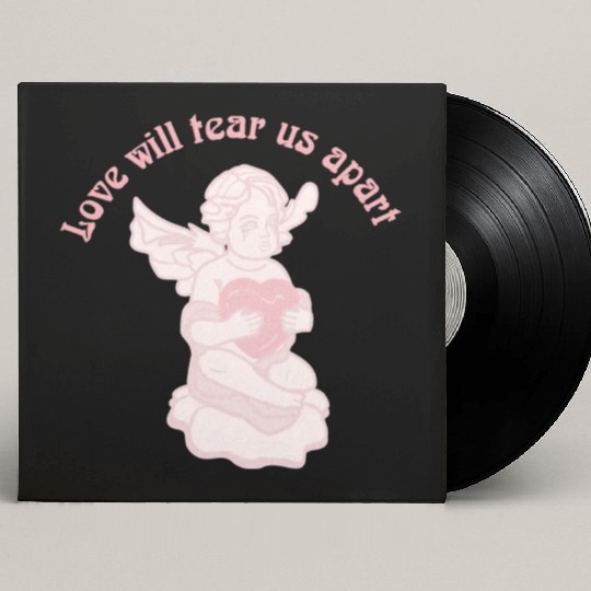 Love Will Tear Us Apart Custom Vinyl Record Sleeves