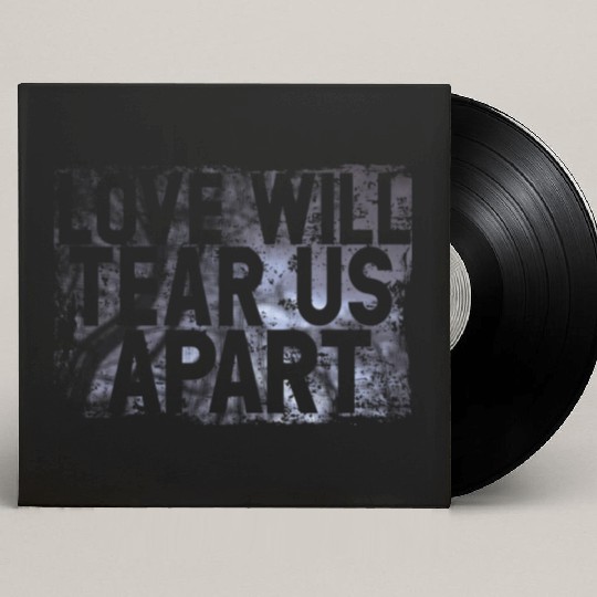LOVE WILL TEAR US APART Custom Vinyl Record Sleeves